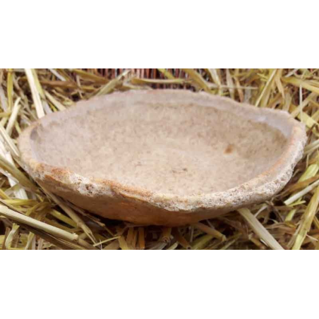 Assiette en pain