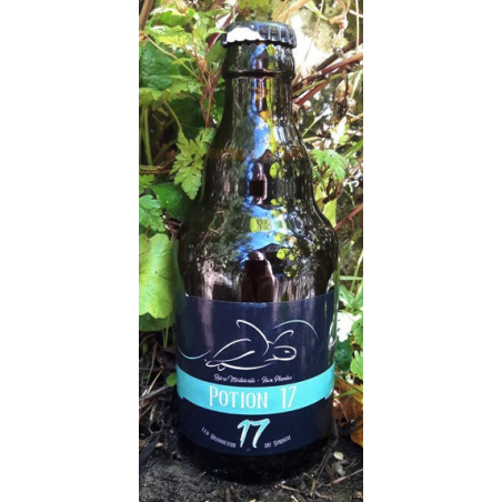 Bière aux plantes 33 cl