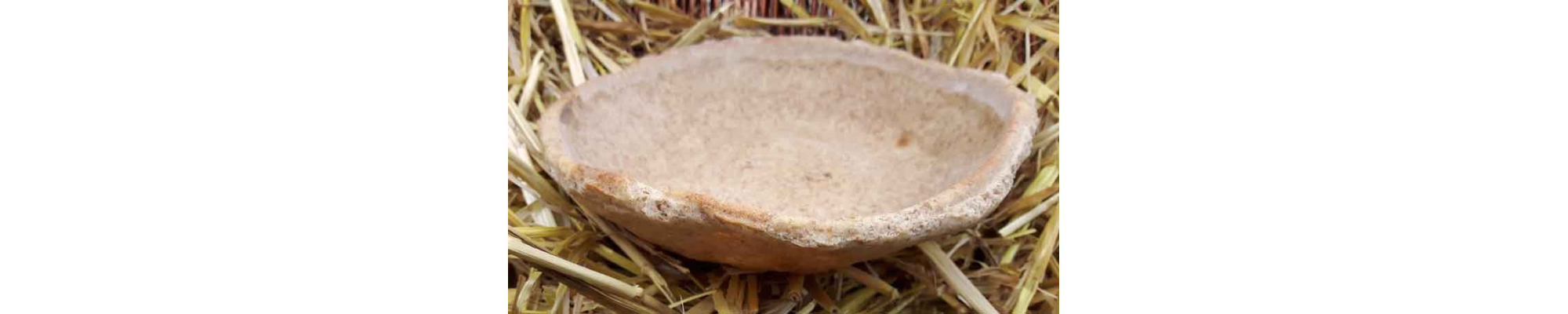 Assiette en pain - tranchoirs