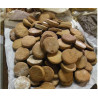 Gateaux gaulois